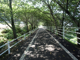 P7030103.jpg