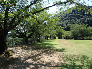 P7200645.jpg
