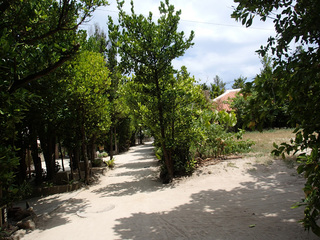 P7220766.jpg