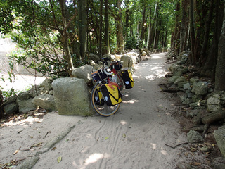 P7220770.jpg