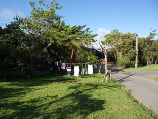 P7240874.jpg