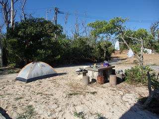 P8051923.jpg