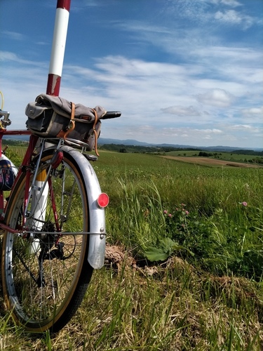 P_20190623_090756.jpg