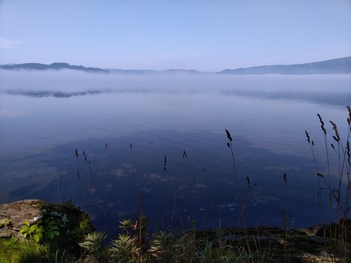 P_20190728_084043.jpg