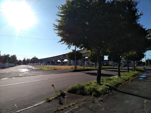 P_20190924_072240.jpg