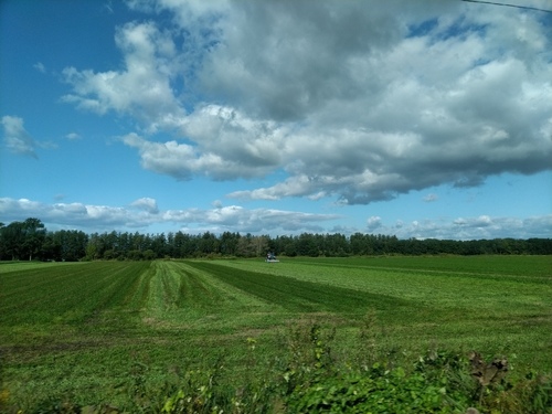 P_20190925_083325.jpg