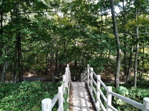 P_20190925_114740.jpg
