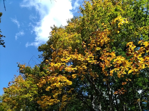 P_20190925_114955.jpg