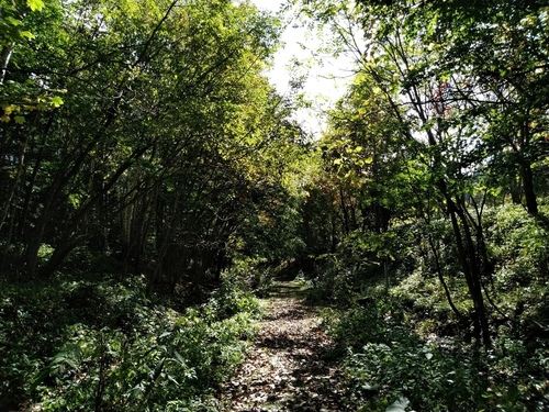 P_20190925_115848.jpg
