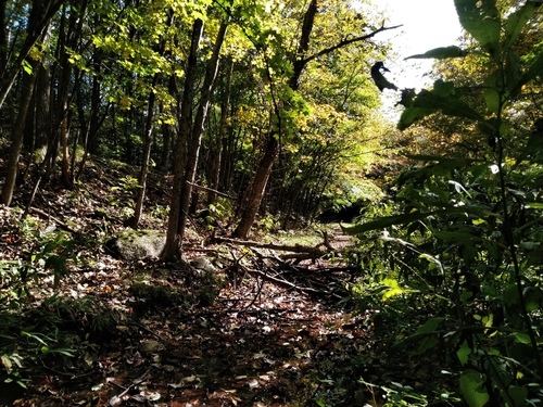 P_20190925_115948.jpg