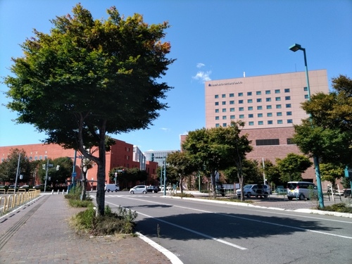 P_20190926_111653.jpg