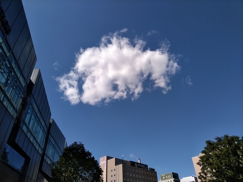 P_20190926_115237.jpg