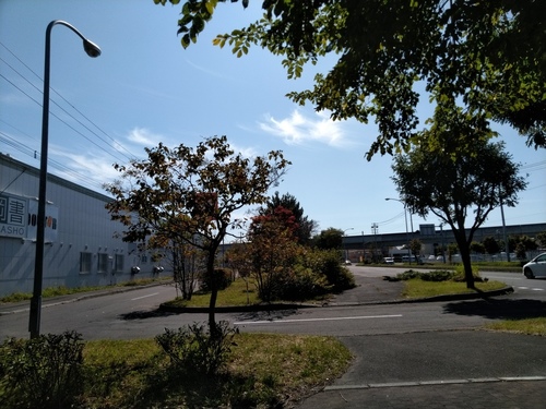 P_20190927_111332.jpg