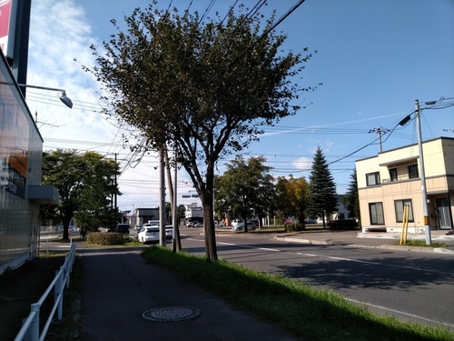 P_20190927_114251.jpg