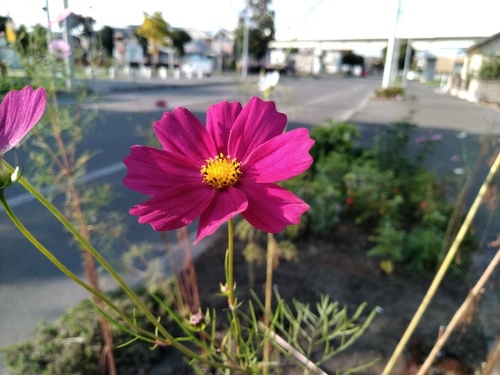 P_20191001_151330.jpg