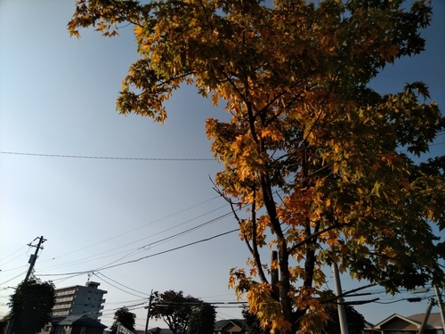 P_20191001_151407.jpg