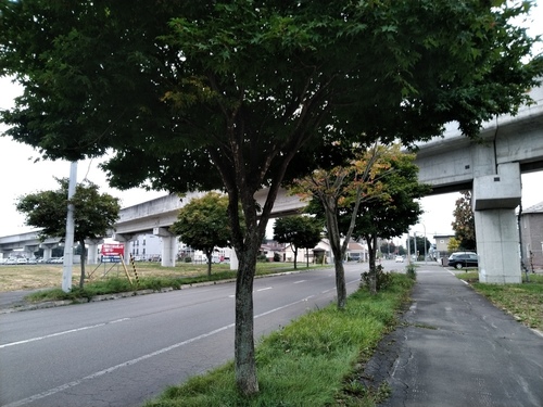 P_20191002_071925.jpg