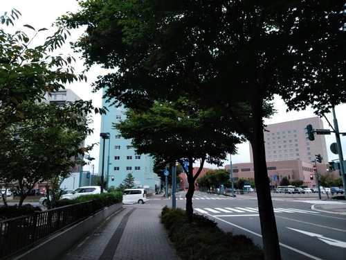 P_20191003_105552.jpg