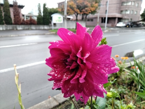P_20191005_072416.jpg
