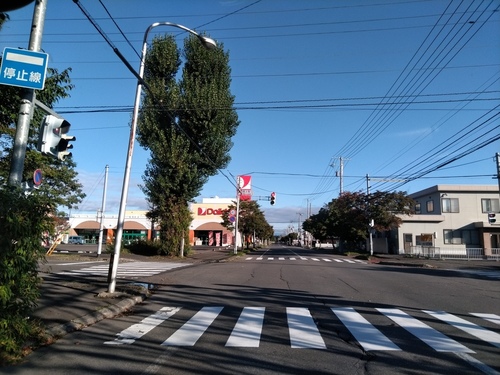 P_20191006_072838.jpg