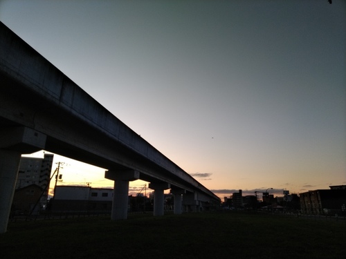 P_20191006_165538.jpg