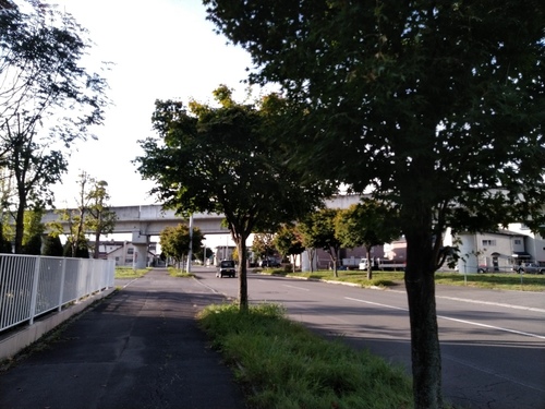 P_20191007_071804.jpg