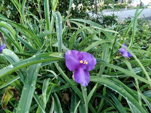 P_20191007_072207.jpg