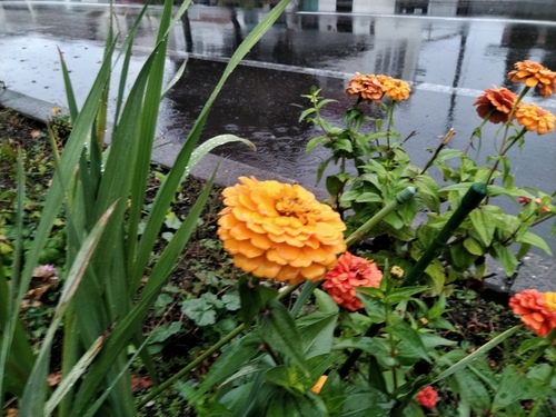 P_20191008_072110.jpg