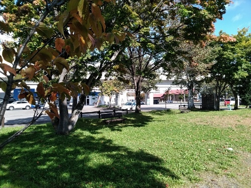 P_20191009_122134.jpg