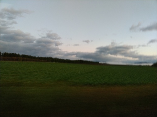 P_20191015_053351.jpg