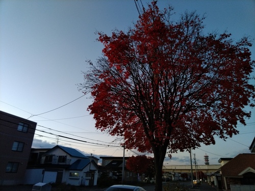 P_20191027_163717.jpg