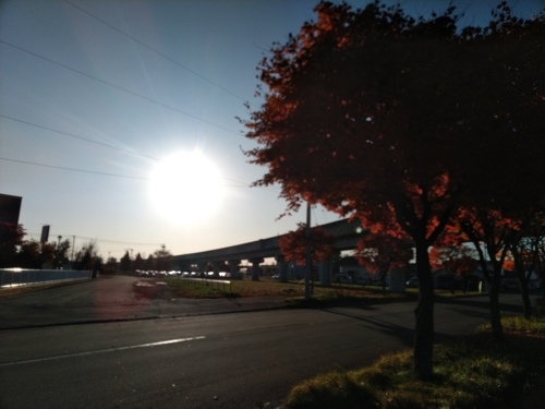 P_20191028_071746.jpg