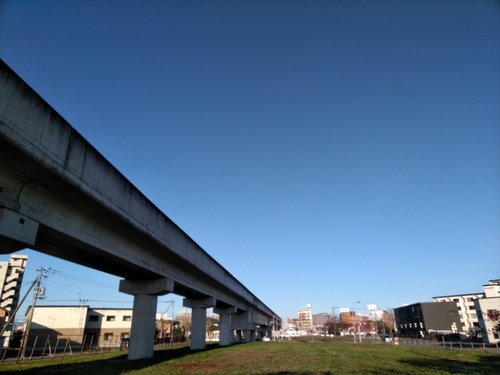 P_20191028_071810.jpg