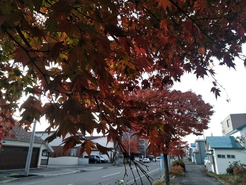 P_20191029_072300.jpg