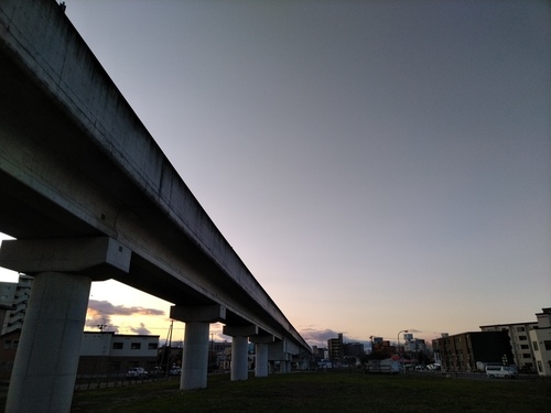 P_20191101_155954.jpg