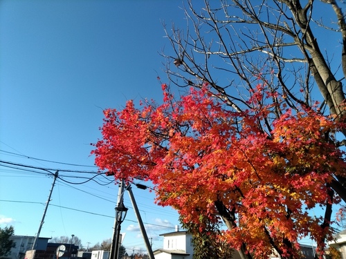 P_20191102_071954.jpg