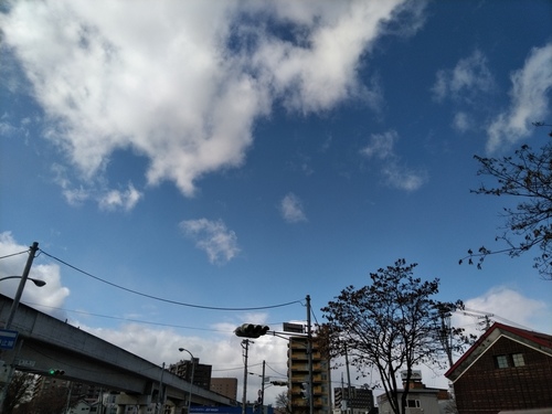 P_20191106_114201.jpg