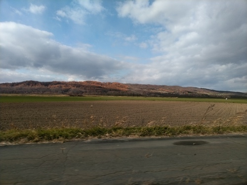 P_20191108_130422.jpg