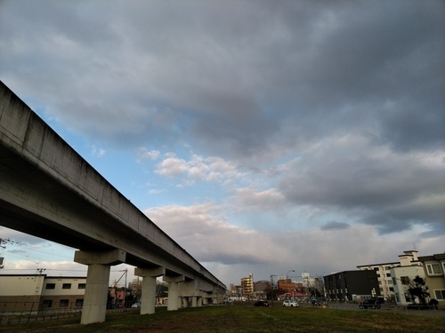 P_20191109_071624.jpg