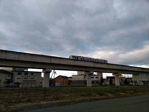 P_20191110_071856.jpg