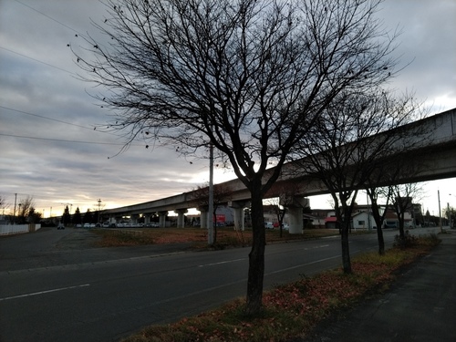 P_20191110_071910.jpg