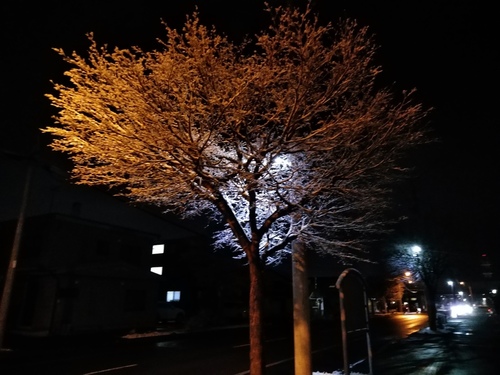P_20191115_172412.jpg