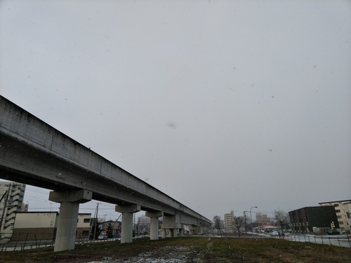 P_20191117_071915.jpg