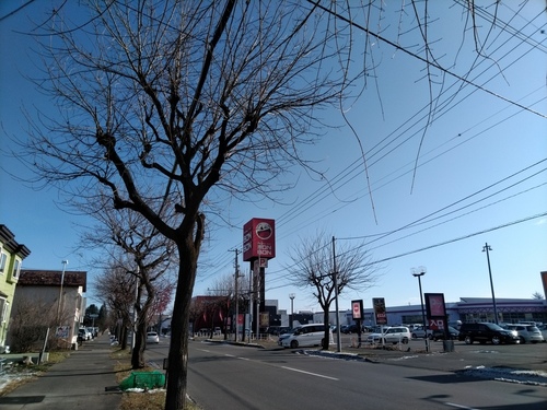 P_20191120_110336.jpg
