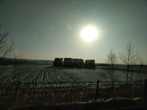P_20191123_082512.jpg