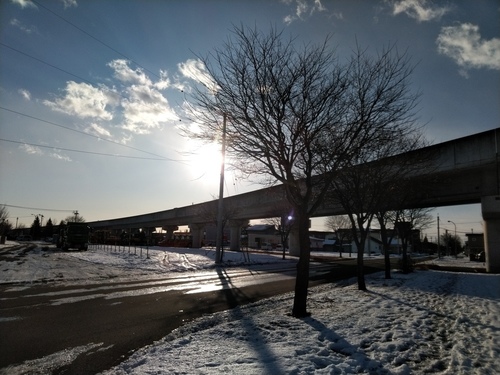 P_20191204_081746.jpg