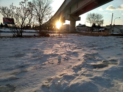 P_20191208_071714.jpg