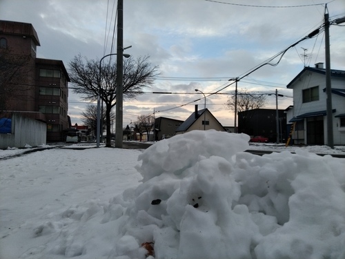 P_20191210_072340.jpg