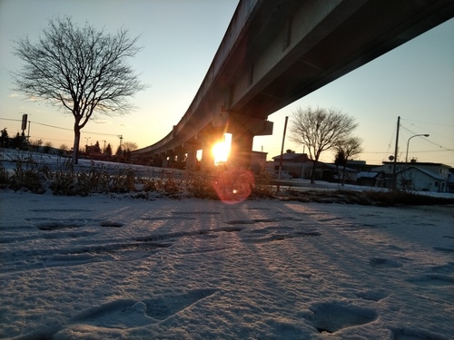 P_20191215_072008.jpg