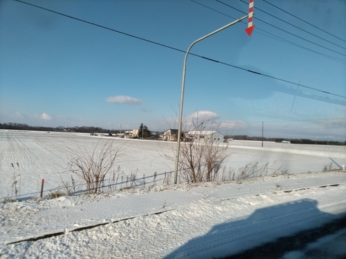 P_20191215_085307.jpg